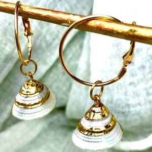 Natural Golden Seashell Earrings